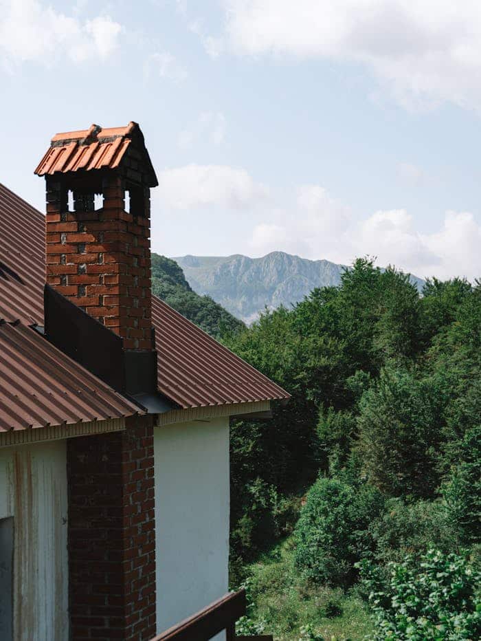 Trees around Village House